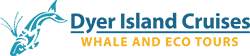 Dyer Island Cruises logo