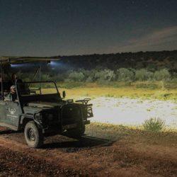 Night drives offers both residents and the public the opportunity to spot the elusive "Shy five": caracal, genet, porcupine, aardvark and aardwolf