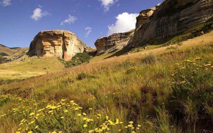 The Agulhas Plain has great diversity of flora