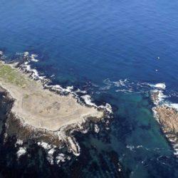 Dyer Island is recognised as an Important Bird Area (IBA)