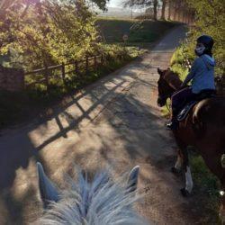 Trail rides in the beautiful Elgin Valley