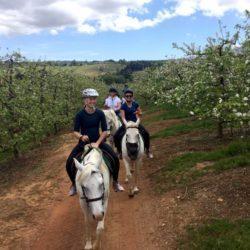 Ride along trails among orchards and vineyards