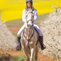 Guided horse trail rides and vineyard horseback tours through scenic landscapes